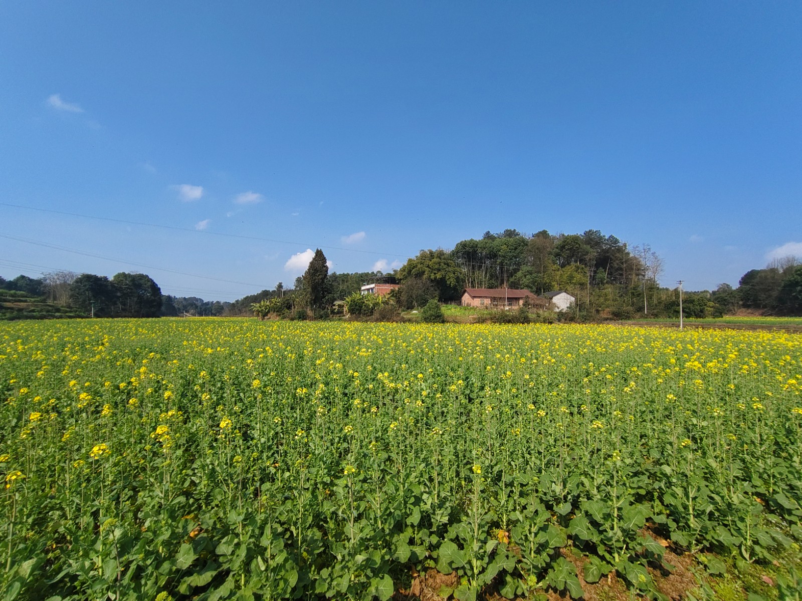 1741570624744898.jpg 微信图片_20250228092629.jpg